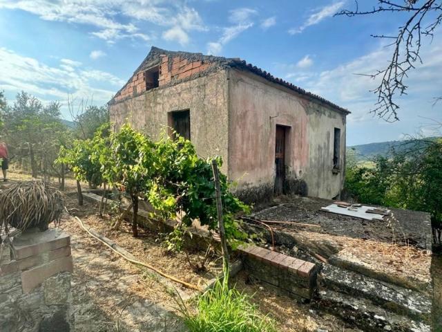 Terreno in vendita a Stella Cilento, Campania