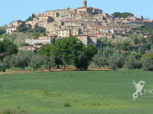 Terreno in vendita a Casale Marittimo, Toscana