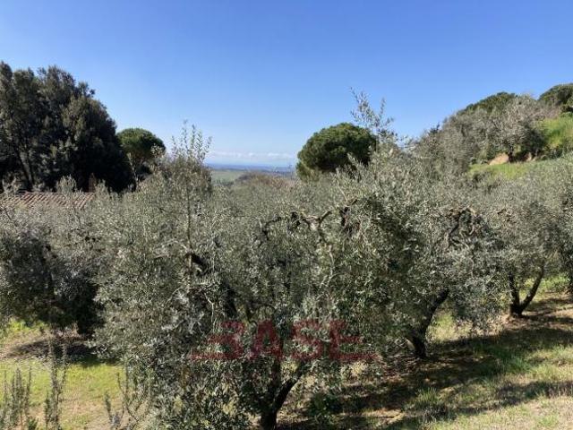 Terreno in vendita a Casale Marittimo, Toscana