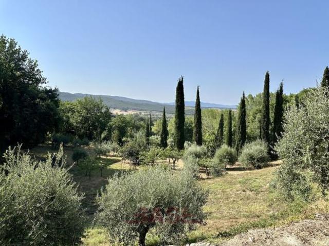 Terreno in vendita a Casale Marittimo, Pisa