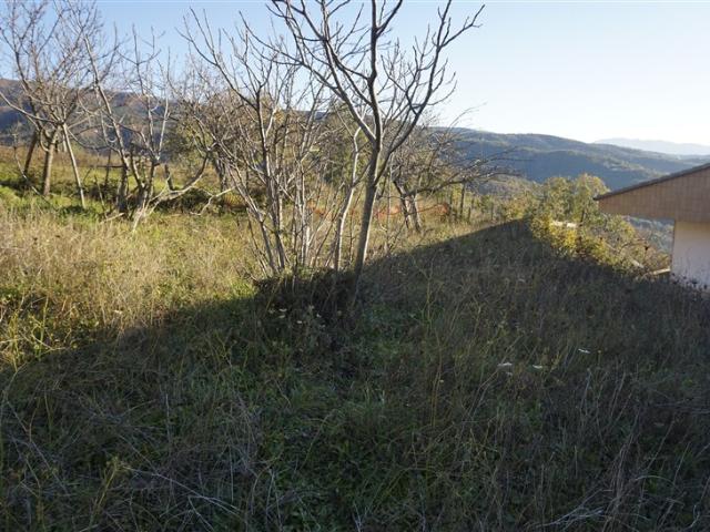 Terreno in vendita a Calabria, Cosenza