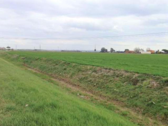 Terreno in vendita a Cascina, Toscana