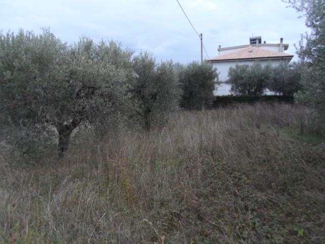 Terreno in vendita a Piattoni, Marche