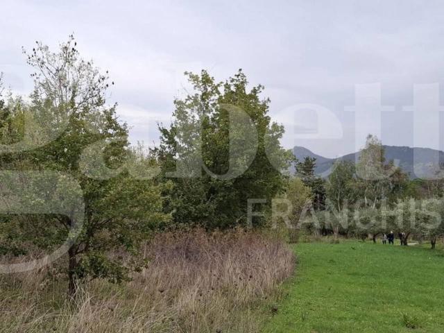 Terreno in vendita a Castelbuono, Sicilia