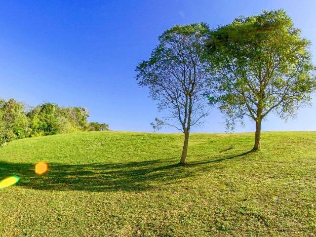 Terreno in vendita a Castelfranco di Sotto, Pisa