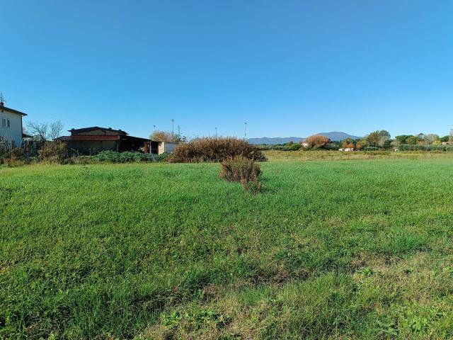 Terreno in vendita a Castelfranco Di Sotto, Toscana