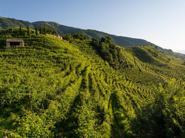 Terreno in vendita a Unione di comuni Montana Lunigiana, Castelnuovo Magra