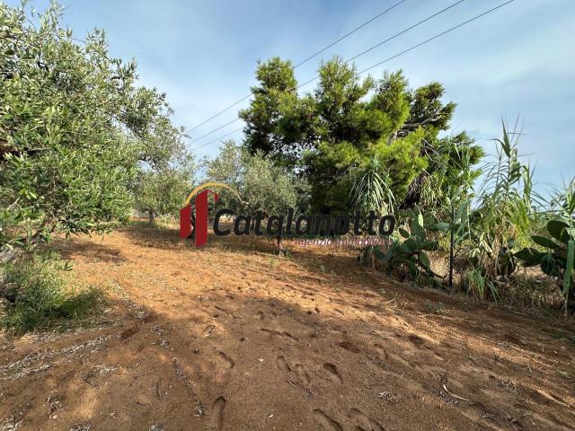 Terreno in vendita a Castelvetrano, Sicilia