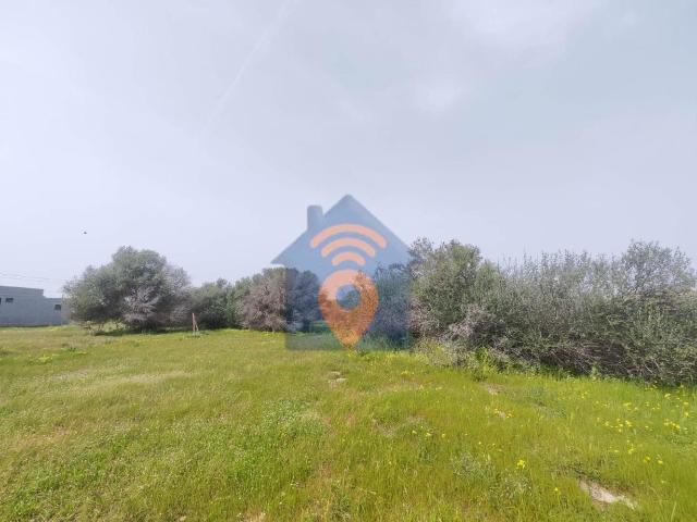Terreno in vendita a Castelvetrano, Sicilia