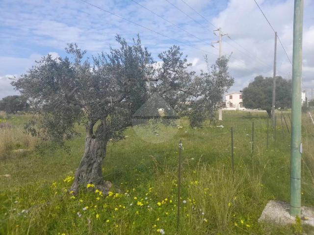 Terreno in vendita a Castelvetrano, Sicilia