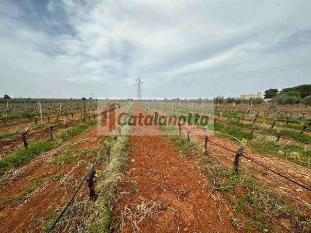 Terreno in vendita a Quartiere Sant'Antonino, Castelvetrano