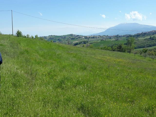 Terreno in vendita a Marche, Ascoli Piceno