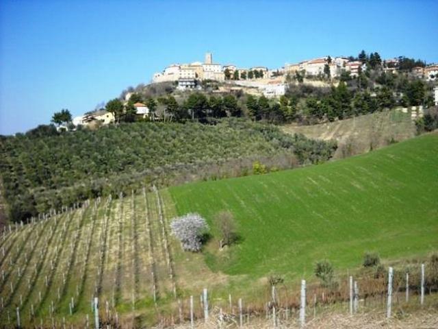 Terreno in vendita a Marche, Ascoli Piceno