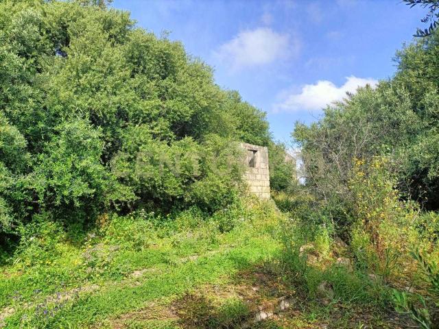 Terreno in vendita a Monte Po-Nesima-San Leone-Rapisardi, Catania