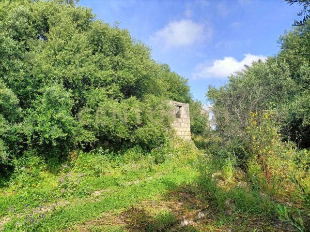 Terreno in vendita a Monte Po-Nesima-San Leone-Rapisardi, Catania