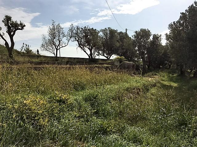 Terreno in vendita a Mater Domini, Calabria