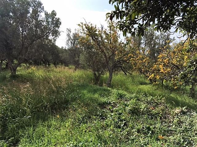 Terreno in vendita a Mater Domini, Calabria