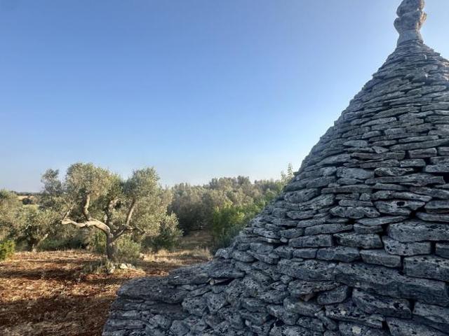 Terreno in vendita a Ceglie Messapica