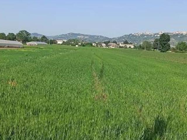 Terreno in vendita a Cepagatti, Abruzzo