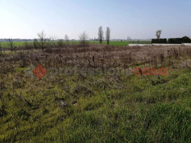 Terreno in vendita a Cerea, Veneto