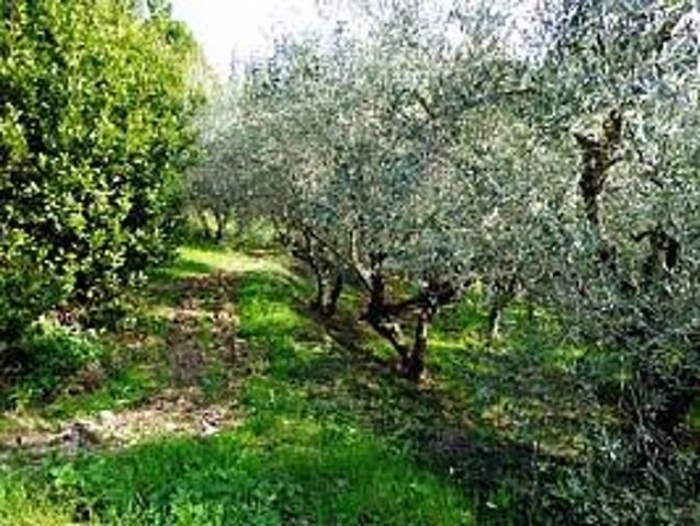 Terreno in vendita a Chieti, Abruzzo