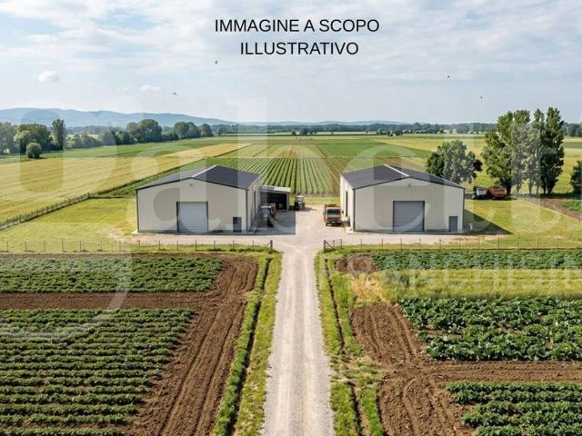 Terreno in vendita a Borgo San Giovanni, Chioggia