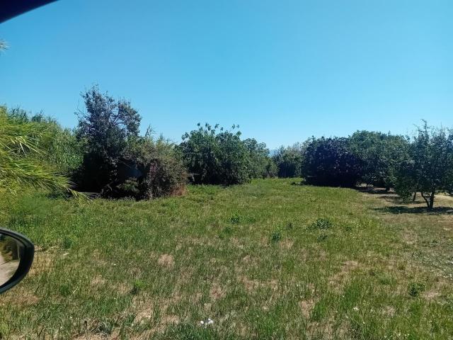 Terreno in vendita a Civita Castellana, Lazio