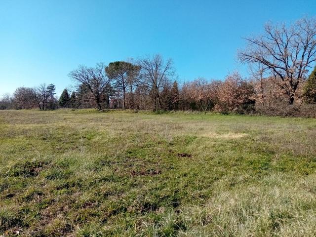 Terreno in vendita a Civita Castellana, Lazio