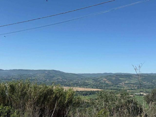 Terreno in vendita a Collazzone, Umbria