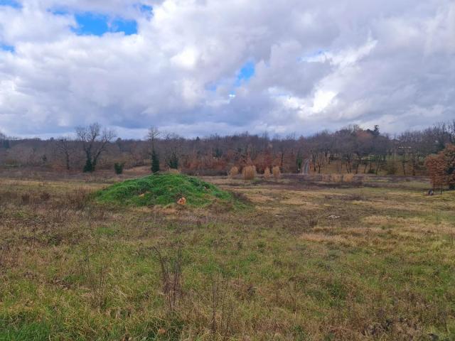 Terreno in vendita a San Frediano, Colle di Val d'Elsa