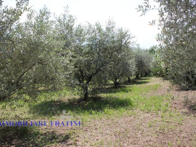 Terreno in vendita a Marche, Ascoli Piceno