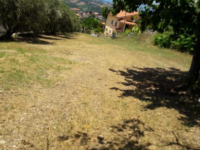 Terreno in vendita a Unione dei Comuni della Val Vibrata, Colonnella