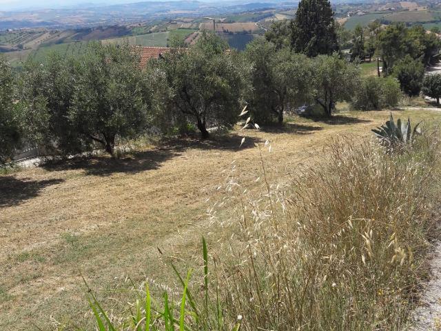 Terreno in vendita a Unione dei Comuni della Val Vibrata, Colonnella