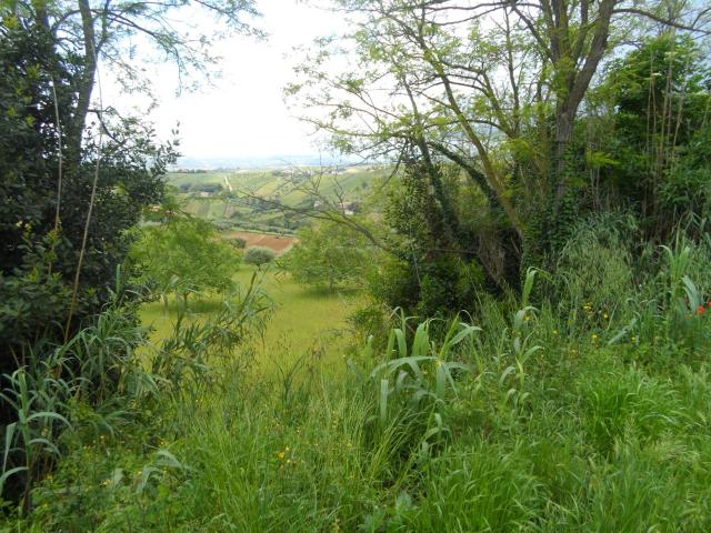 Terreno in vendita a Unione dei Comuni della Val Vibrata, Colonnella