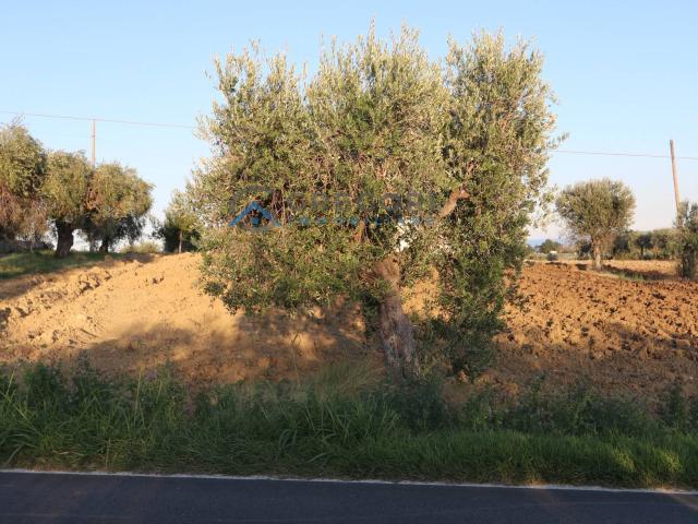 Terreno in vendita a Unione dei Comuni della Val Vibrata, Controguerra