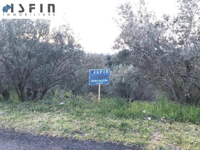 Terreno in vendita a Borgo Partenone, Cosenza