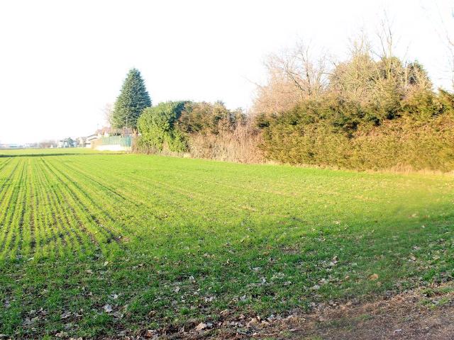 Terreno in vendita a Cuggiono, Lombardia