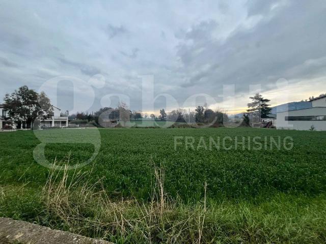 Terreno in vendita a Dragoni, Campania