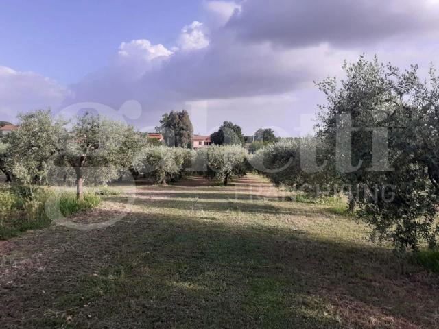 Terreno in vendita a Fabrica Di Roma, Lazio