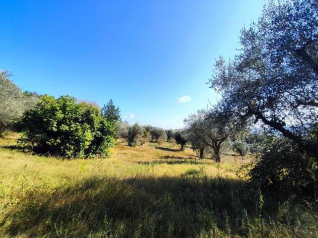 Terreno in vendita a Sant'Andrea in Villis, Marche
