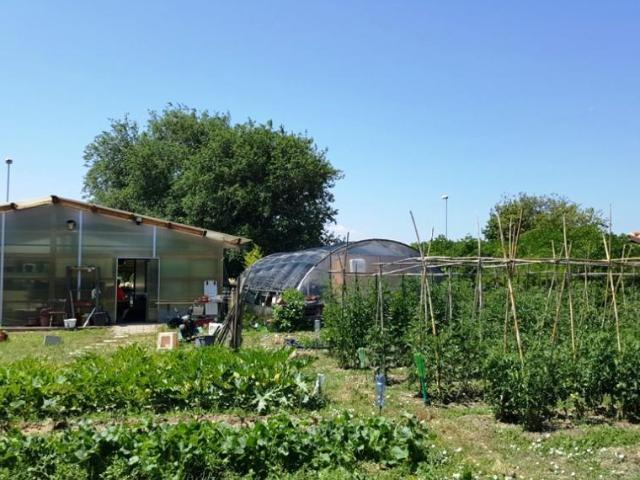Terreno in vendita a San Lazzaro, Marche