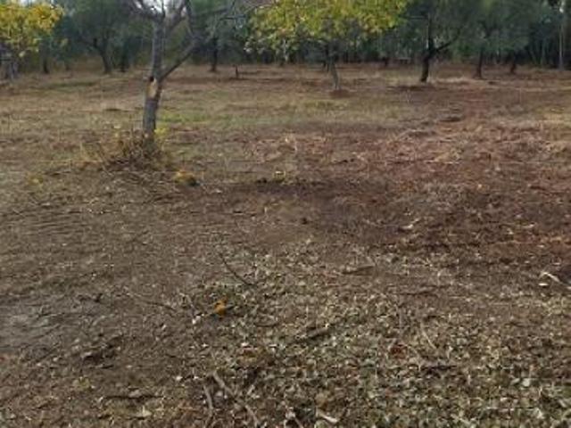 Terreno in vendita a Filetto, Abruzzo