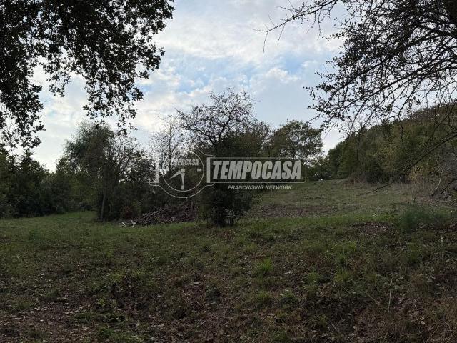 Terreno in vendita a Roma Capitale, Lazio
