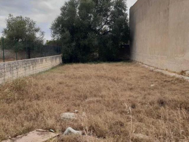 Terreno in vendita a Floridia, Sicilia