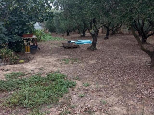 Terreno in vendita a Follonica, Toscana