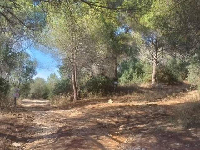 Terreno in vendita a Follonica, Toscana