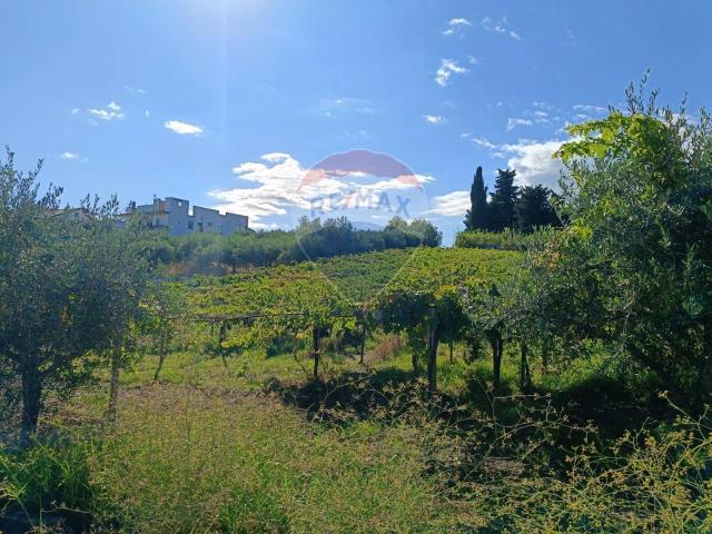 Terreno in vendita a Frisa, Abruzzo