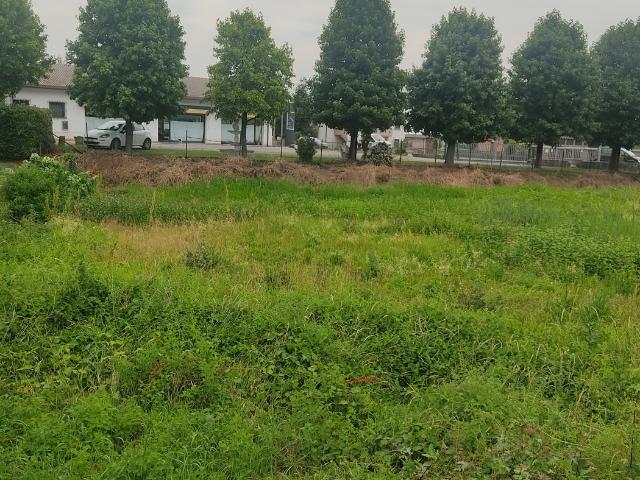 Terreno in vendita a Gavello, Veneto