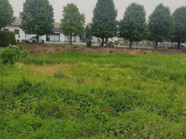 Terreno in vendita a Gavello, Veneto