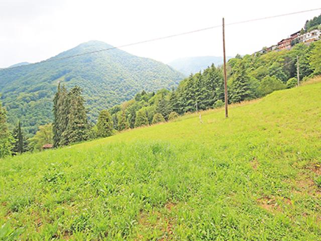 Terreno in vendita a Gazzaniga, Lombardia